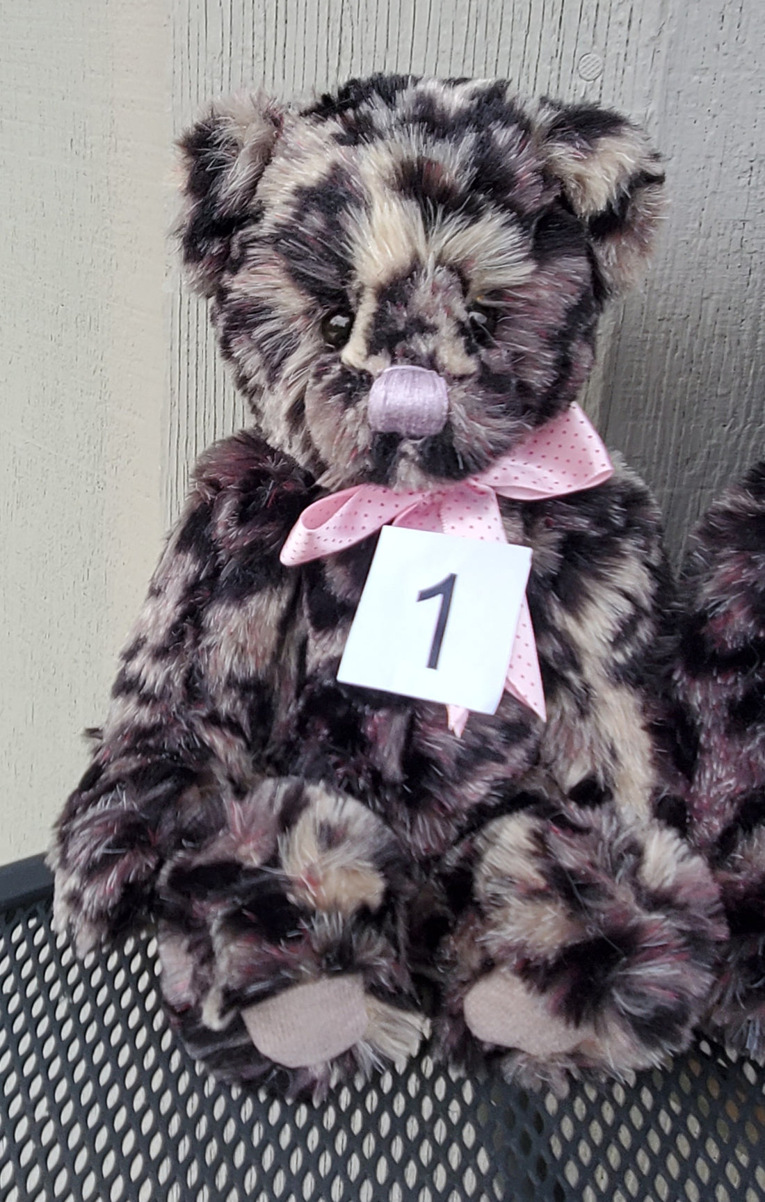 Teensy Weensy - 11" Spotted Bear by Charlie Bears