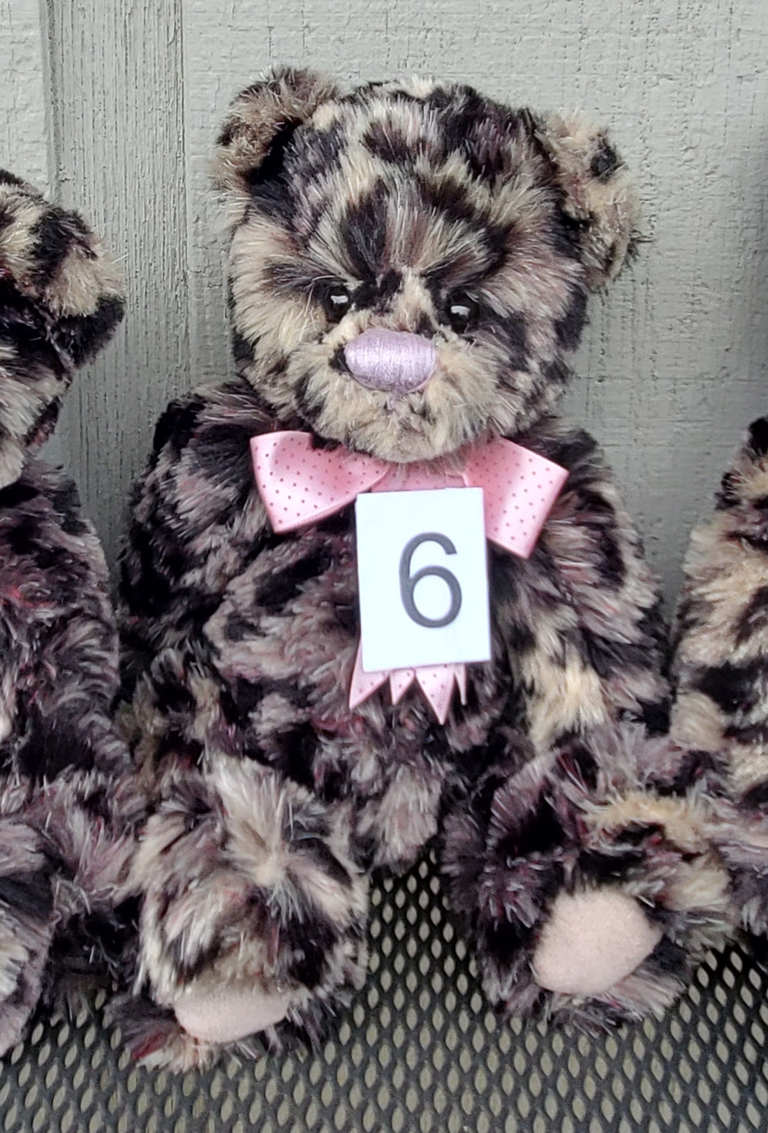 Teensy Weensy - 11" Spotted Bear by Charlie Bears