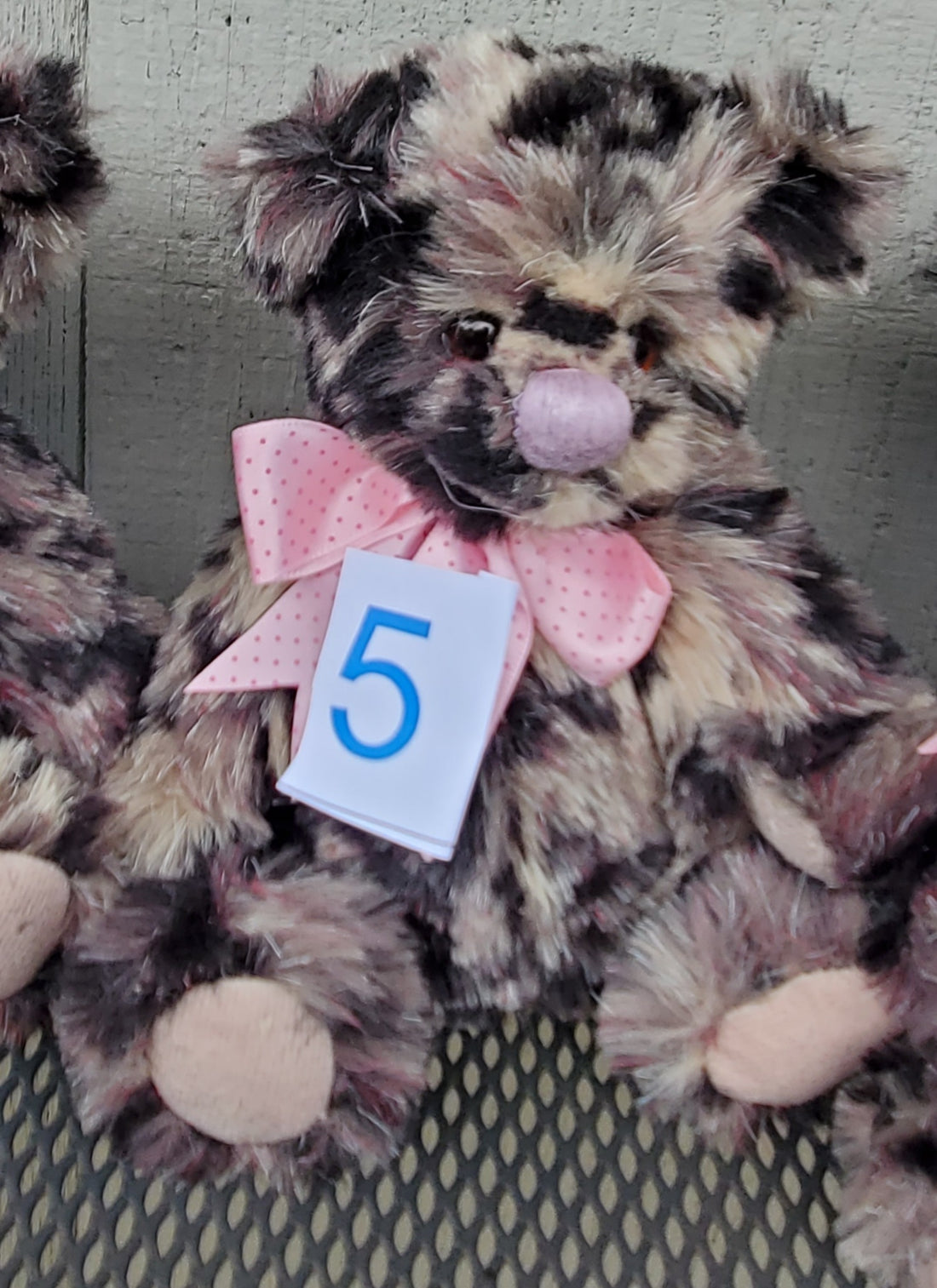 Itsy Bitsy - 7.5" Spotted Bear from Charlie Bears