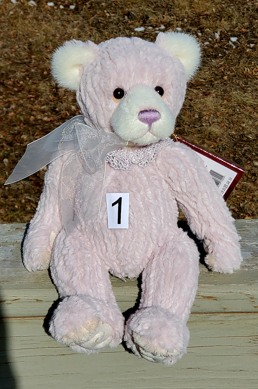 Coorie - 12" Chenille Bear by Charlie Bears