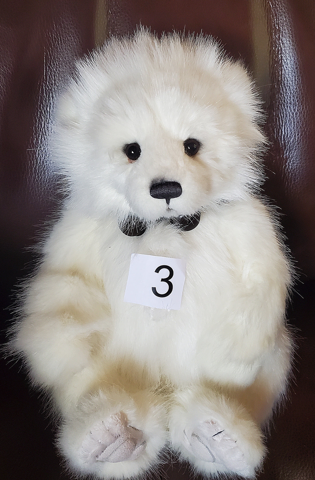 Daria - 15" Polar Bear with Bell Collar by Charlie Bears