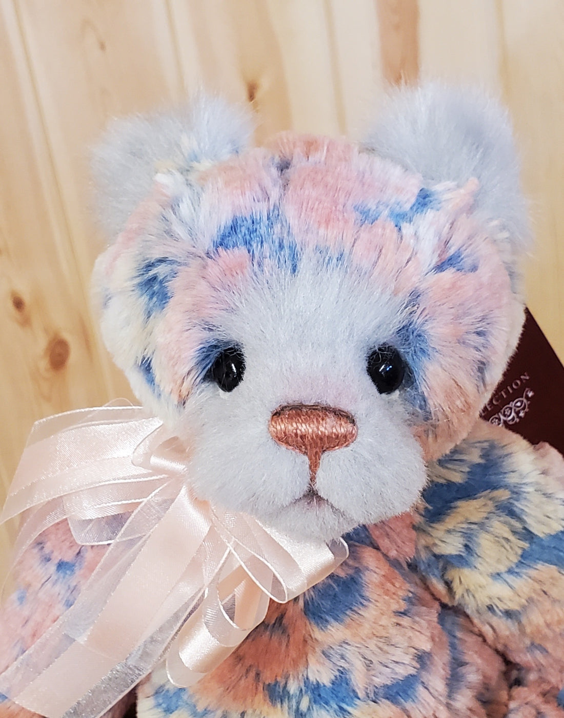 Confetti - 13" Bear with Pink and Blue Sculpted Fur by Charlie Bears