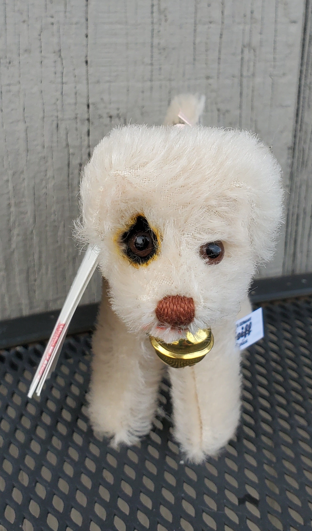 Spotty Dog - 4