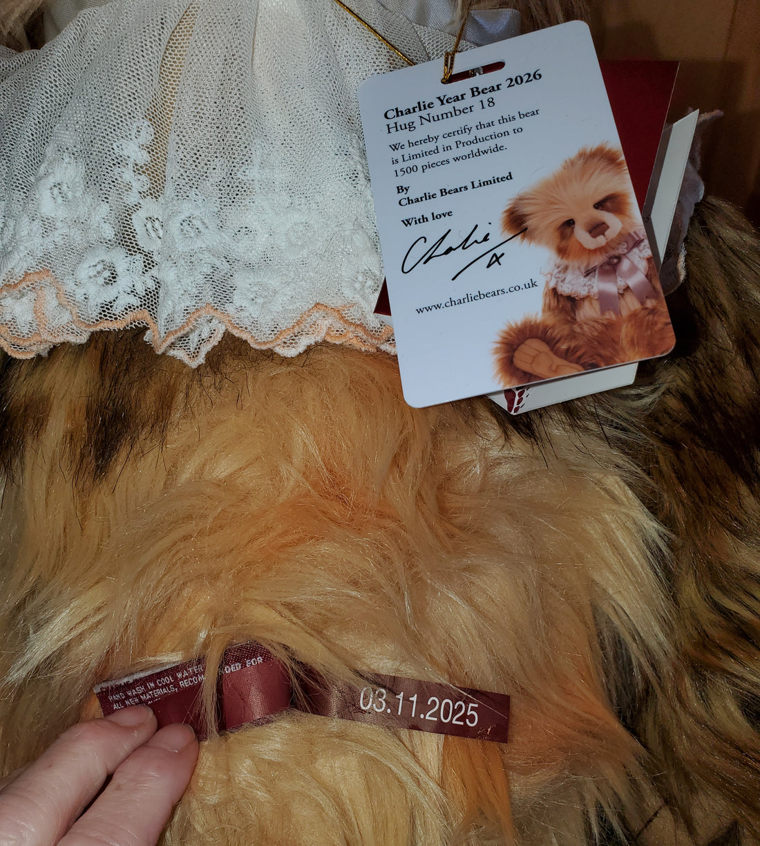 2026 Plush Charlie Year Bear 25" - Limited Edition