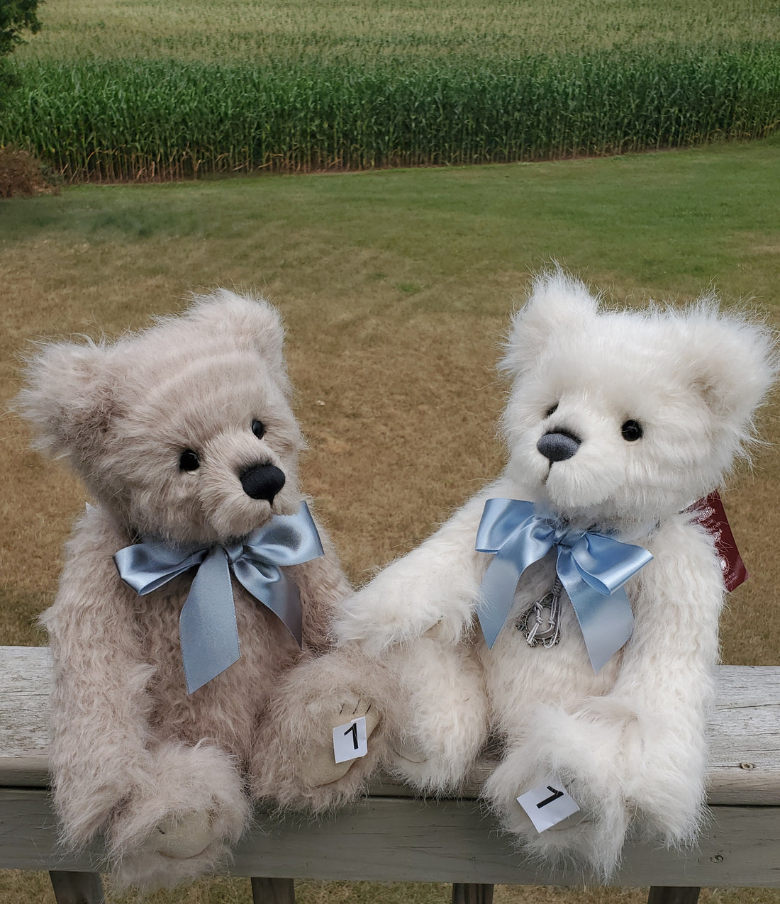 Snowden - 16" White Teddy w/ Growler Noisemaker by Charlie Bears