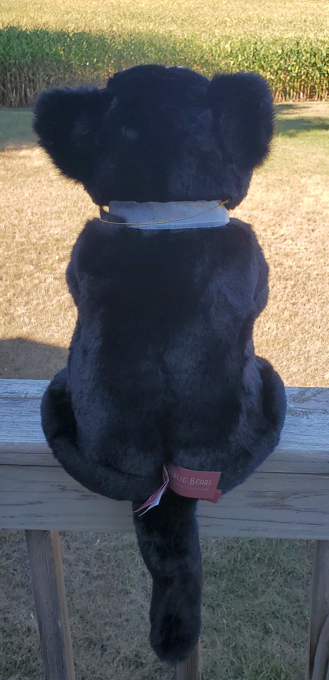 Silhouette - 15" Bearhouse, Non-Jointed Black Panther by Charlie Bears