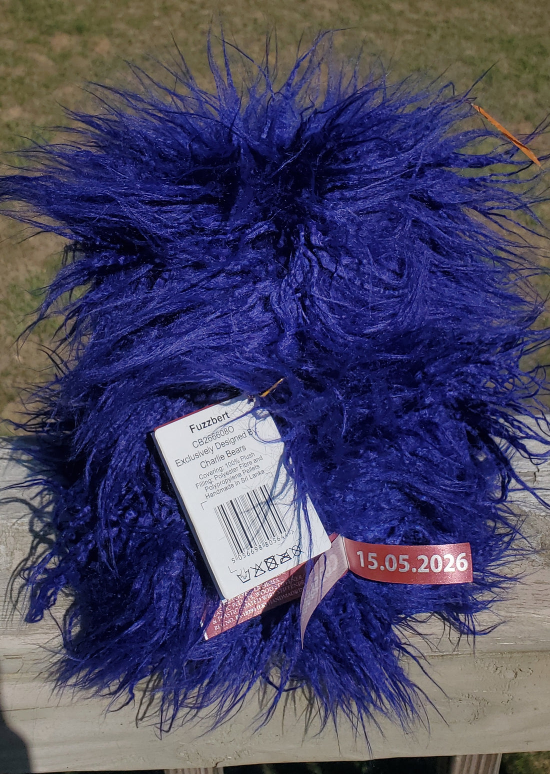 Fuzzbert - 13" Deep Blue Bear w/Wild Hair by Charlie Bears