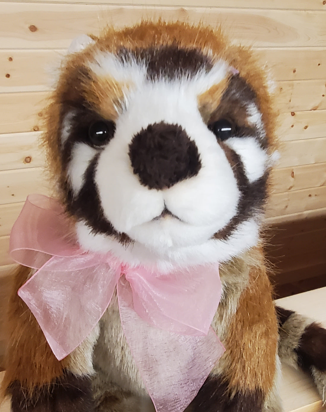Perth - 15" Coatimundi Non-Jointed - Charlie Bears Bearhouse Collection - Safe for 18 Months and Up!