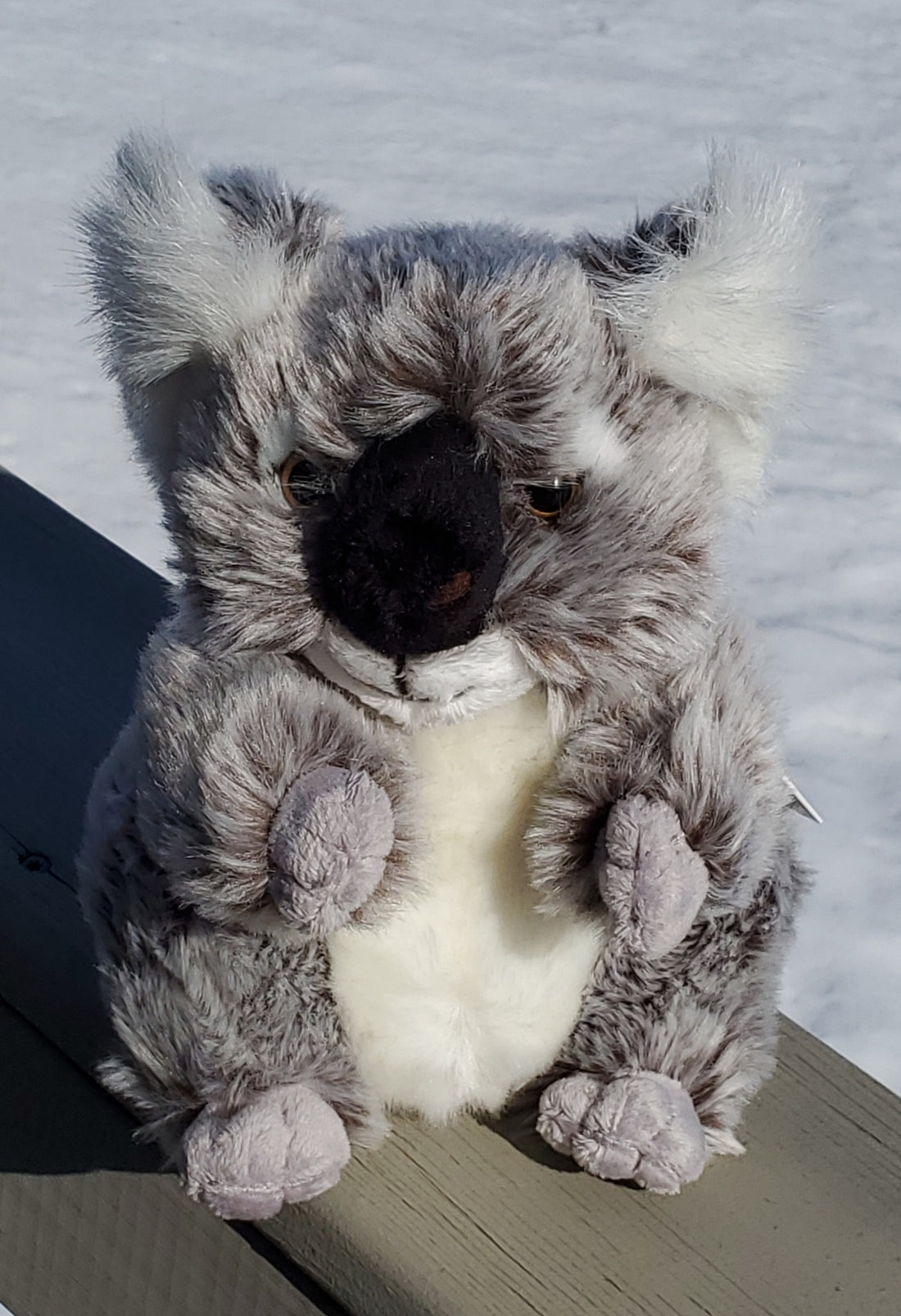 Koala - 8.25" Plush by Teddy Hermann