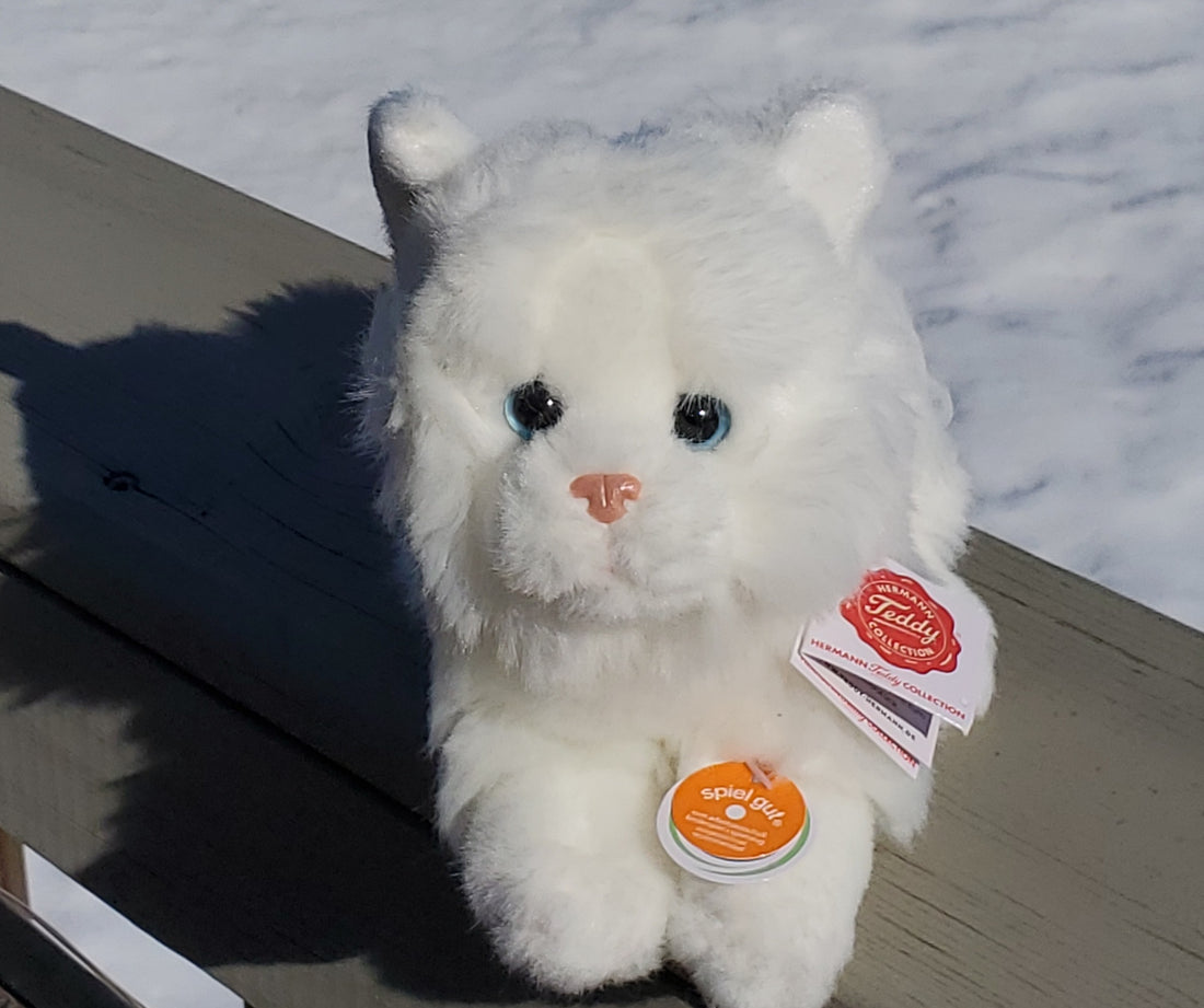 British Shorthair - 8" White Cat by Teddy Hermann
