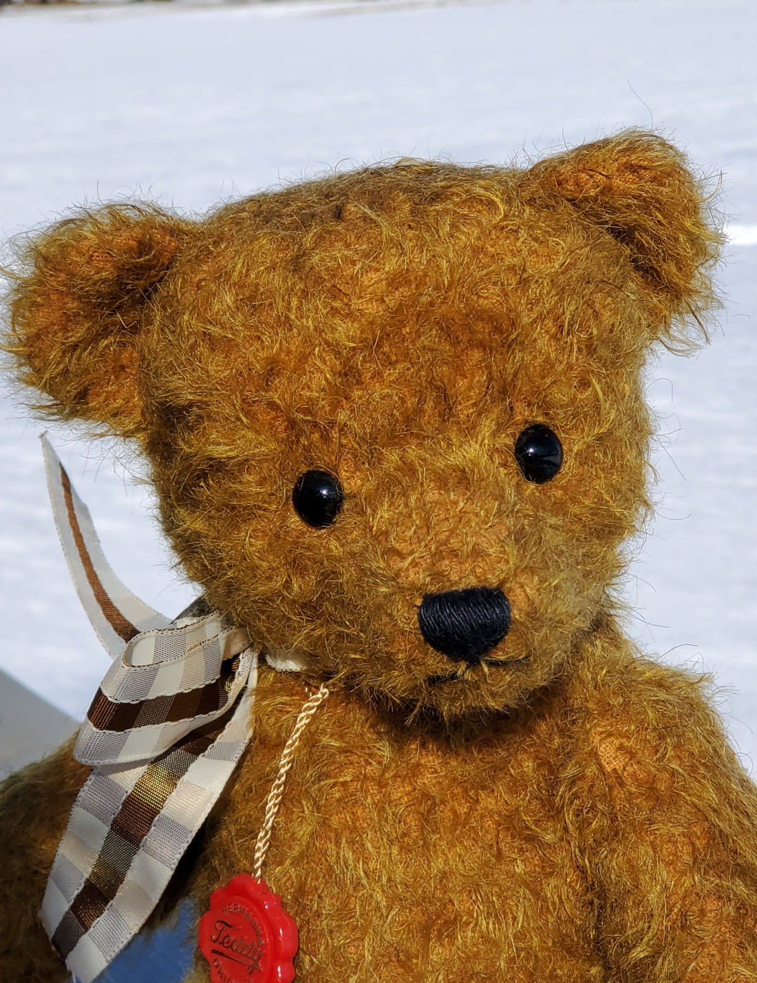 Armin - 14" Mohair Bear with Growler by Teddy Hermann