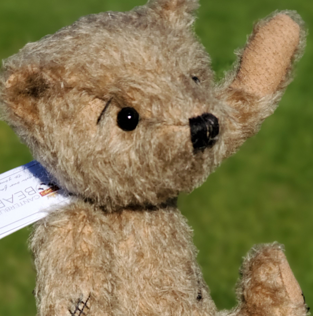Pip - 15” Mohair Bear by Canterbury Bears