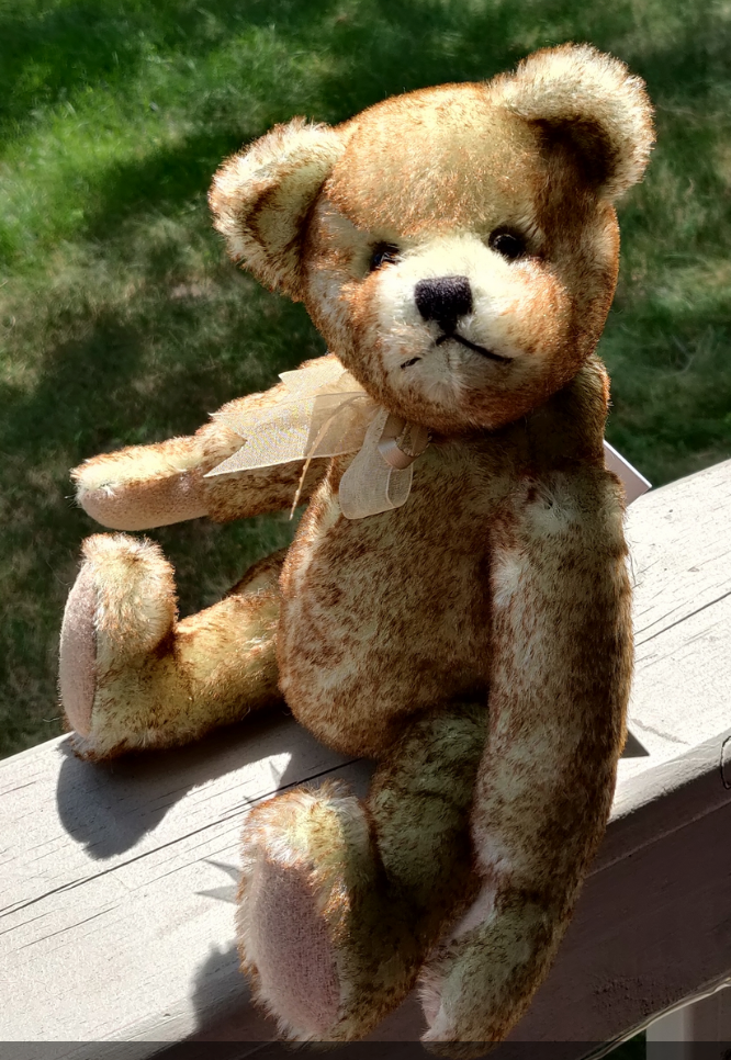Sammy - 9" Mohair Bear by Canterbury Bears
